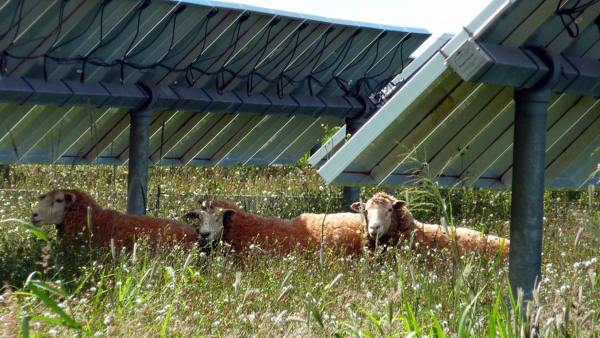 Agriculture